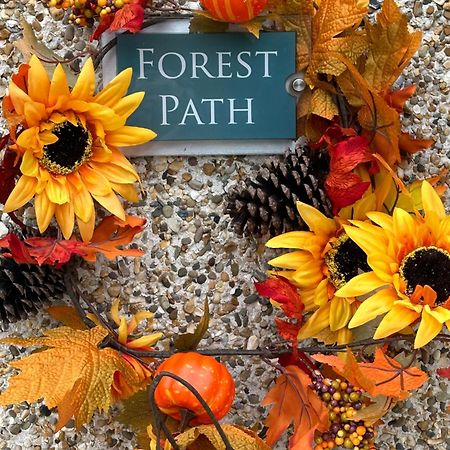 Forest Path Luxury Studio Apartment With Large Bedroom Bathroom And Sauna Sleeps Up To 4 Ballynahinch 外观 照片