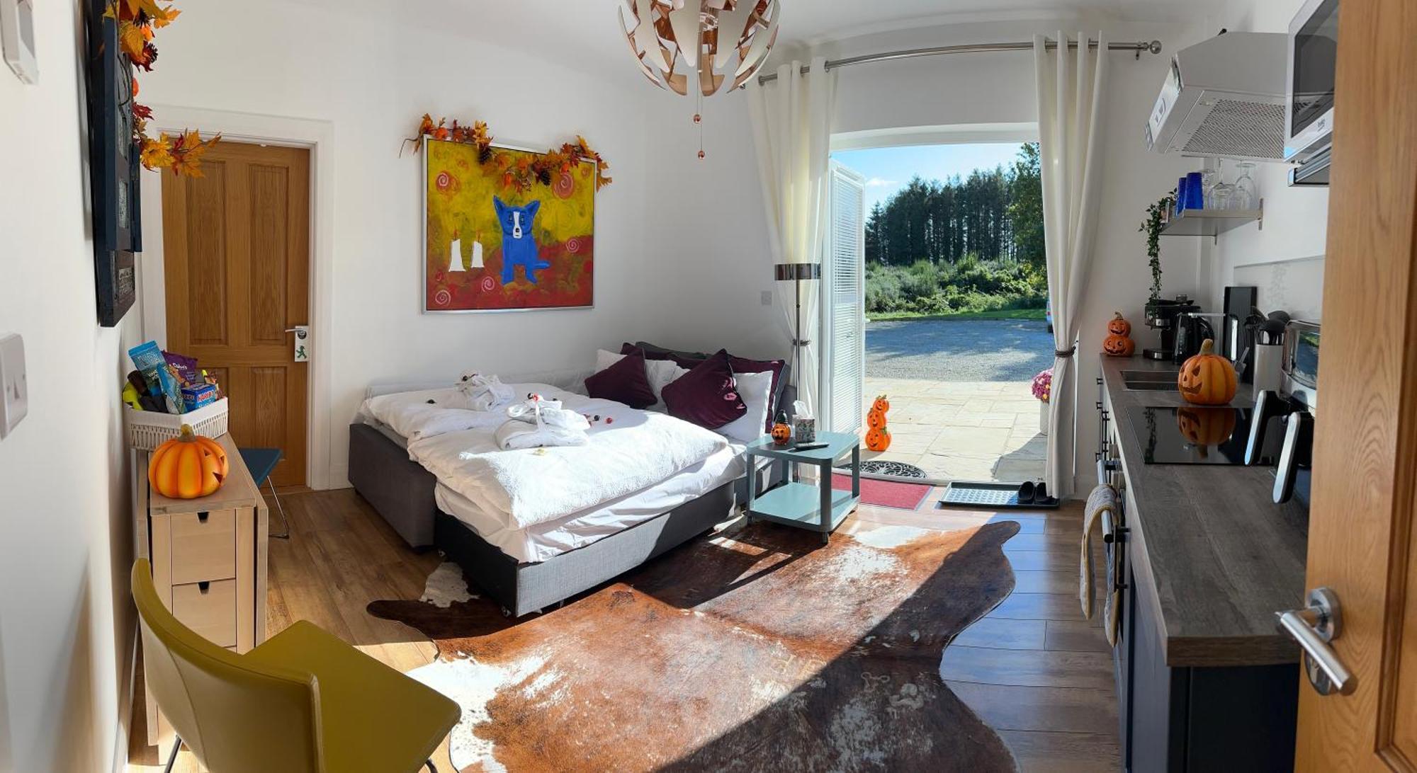 Forest Path Luxury Studio Apartment With Large Bedroom Bathroom And Sauna Sleeps Up To 4 Ballynahinch 外观 照片