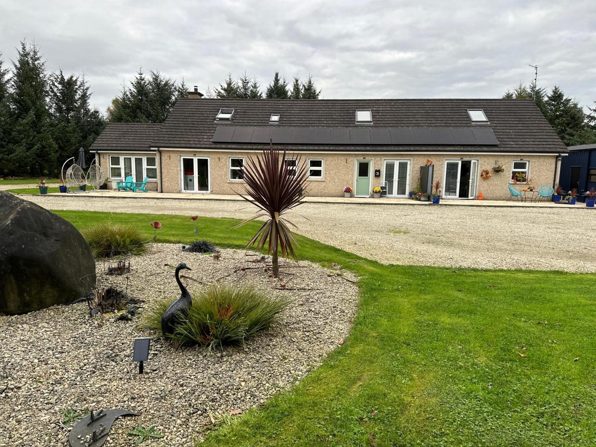 Forest Path Luxury Studio Apartment With Large Bedroom Bathroom And Sauna Sleeps Up To 4 Ballynahinch 外观 照片
