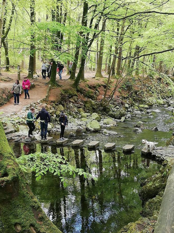 Forest Path Luxury Studio Apartment With Large Bedroom Bathroom And Sauna Sleeps Up To 4 Ballynahinch 外观 照片